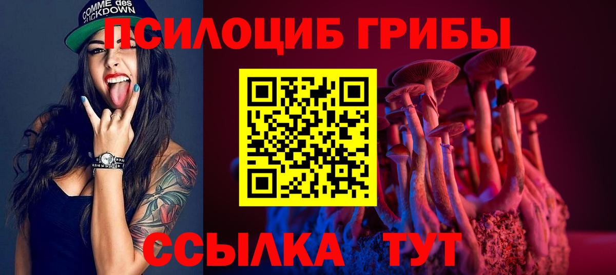 Псилоцибиновые грибы мицелий Ликино-Дулёво